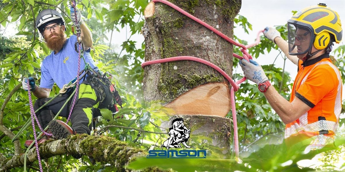 two tree climbers using samson arborist ropes