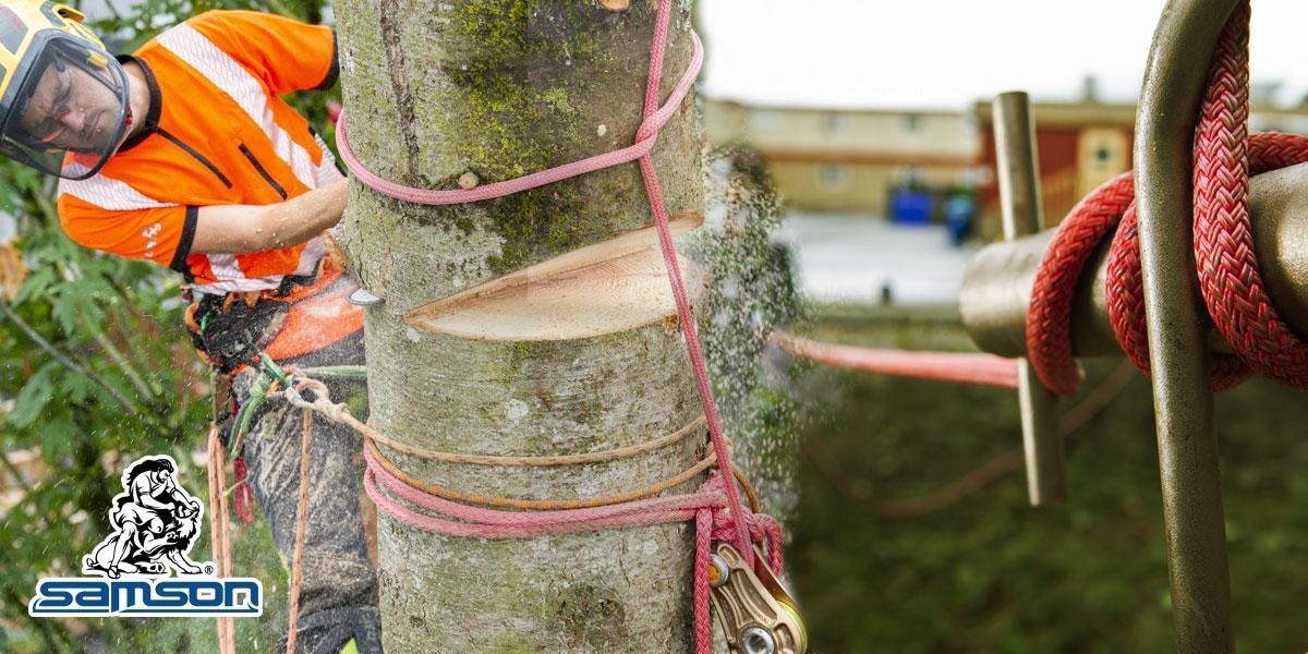 picture of arborist lowering wood with samson stable braid rope