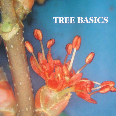 Tree Health Care
