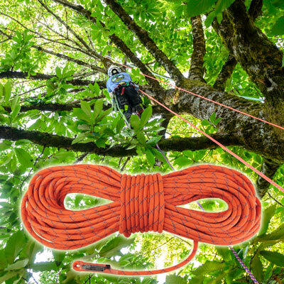 Tree Climbing Rope
