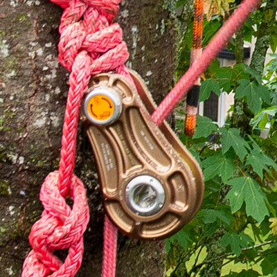 Arborist Blocks