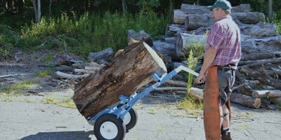 Log & Brush Handling