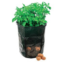261137 Silverline Potato Planting Bag
