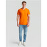 Fruit Of The Loom Men's Valueweight V-Neck T