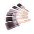 ProDec 6pc Premier Paint Brush Set PBPT049