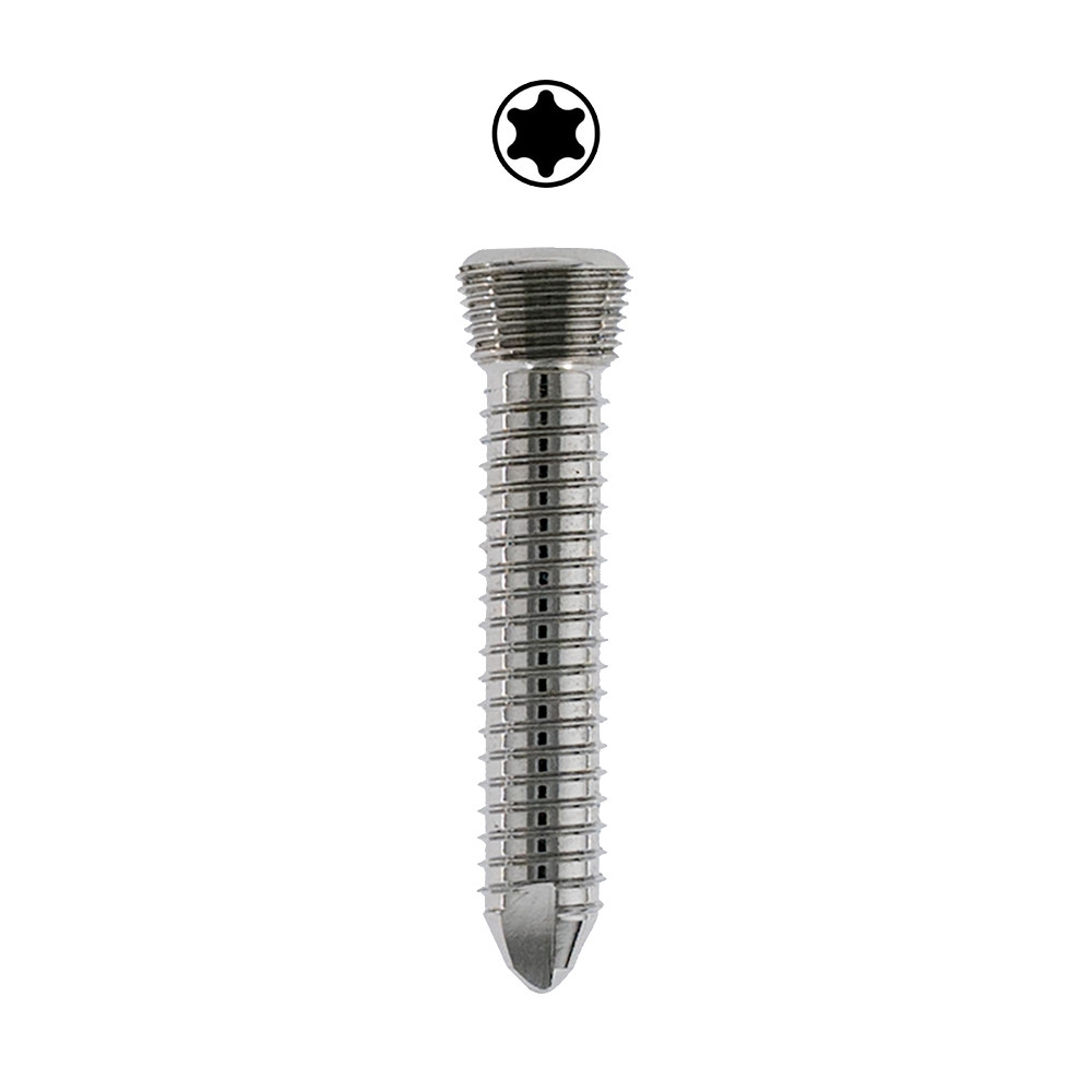 Product VOI 4.0mm DT Locking Screw T25, SS | SLH ST 400.54 Image