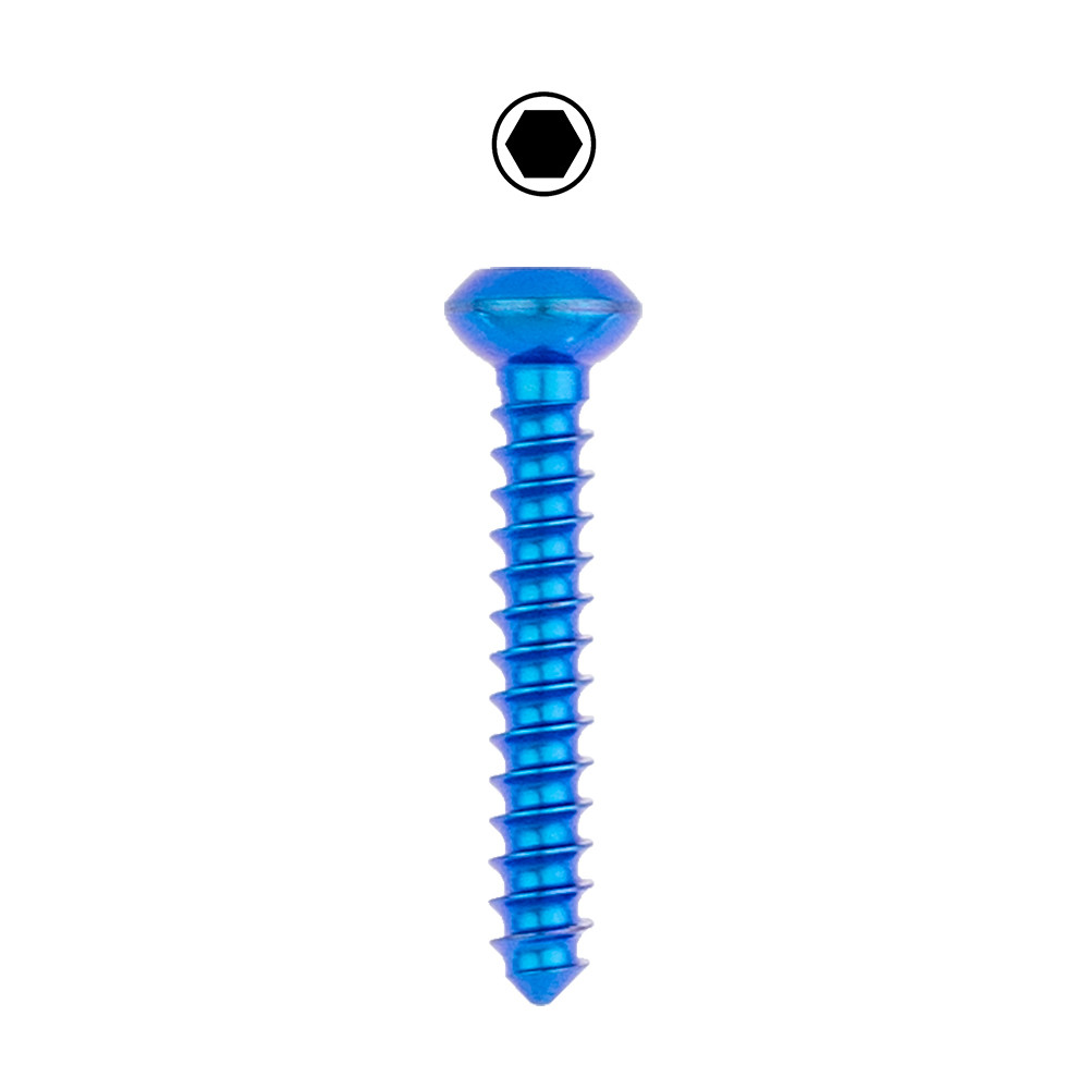 Product VOI 2.7 Cortical Screw Hex Reg, Ti | TI REG 270.24 Image