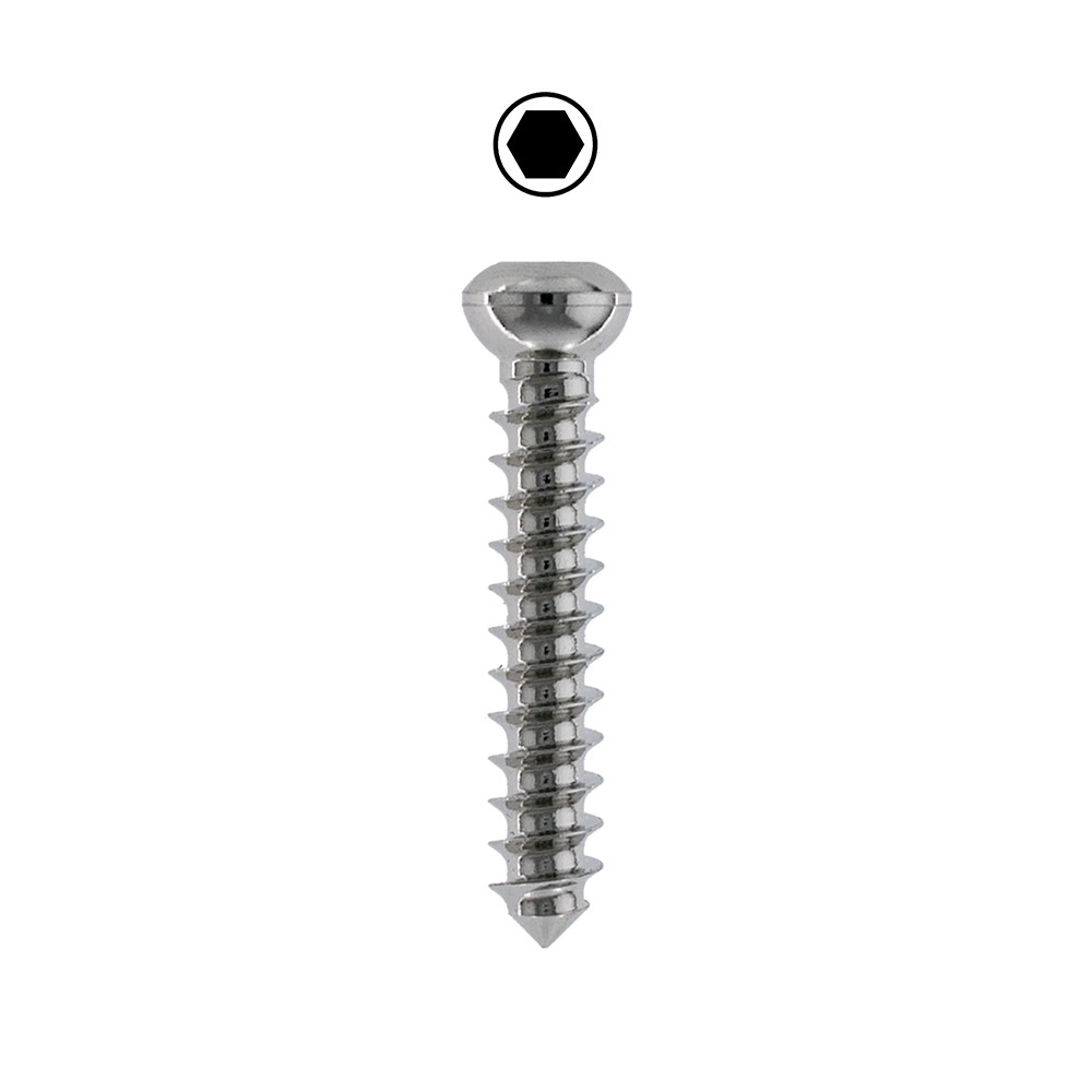 Product VOI 2.0mm Cancellous Full Thread Screw, Non Self-Tap, Stainless | 200.22CT Image