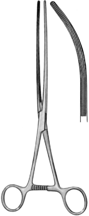 Product Vet Spectrum Mayo-Robson Intestinal Clamp Forcep, 10" (25cm), Curved, Long Straight Serrations | SAH.705402 Image