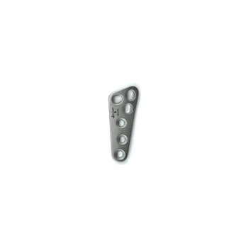 Product Everost Delta Style TPLO Plate, Ss | SAH.EV001911 Image
