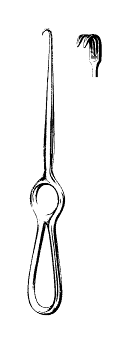 Product Spectrum Volkmann Retractor, 8.5in (21.5cm), 2 Prongs, Sharp | SAH.20-1076 Image