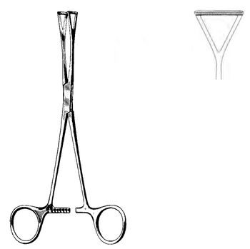 Product Spectrum Collin-Duval Lung Forcep, 9in (23cm), 1in (25mm) Wide Jaws, Serrated, Ratchet | SAH.60-2483 Image