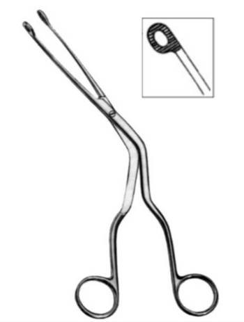 Product Vet Spectrum Magill Baby Catheter Forceps, 6" (15cm), Small Serrated Circular Tip | SAH.739801 Image