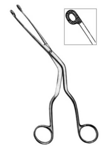 Product Vet Spectrum Magill Catheter Forceps, 7.5" (19cm), Medium Serrated Circular Tip | SAH.739802 Image
