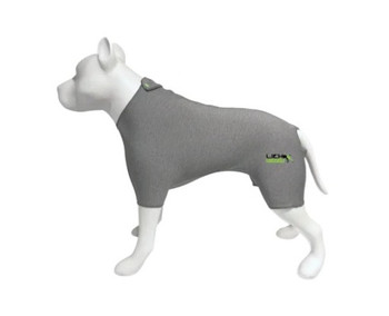 Product Lick Sleeve Recovery Suit - Large | 732388616145 Image