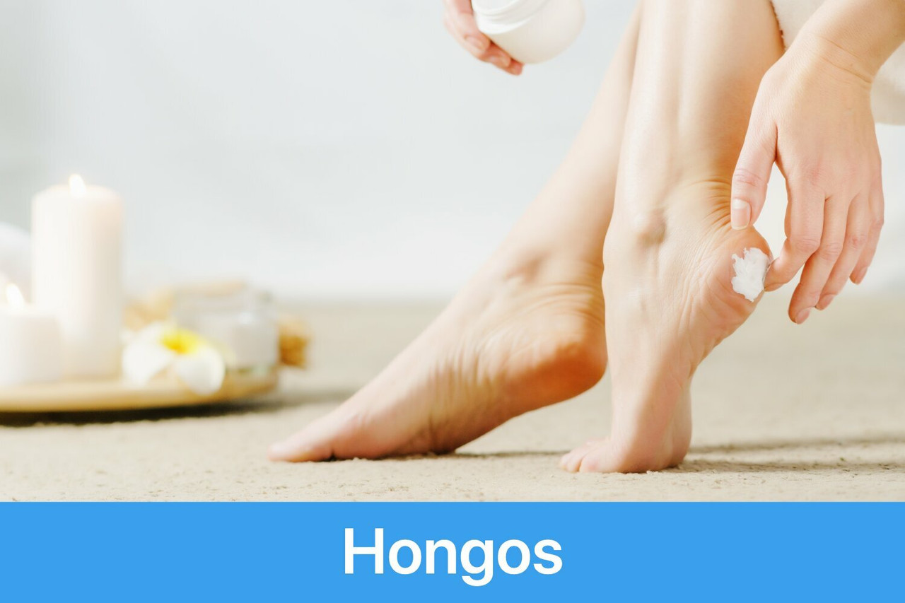 Hongos