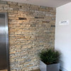 Ledgestone Calming Shores natural thin stone