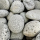 Salt n Pepper Mexican Pebbles 5-10"