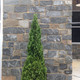 Square & Rectangular Bristol Bay natural thin stone