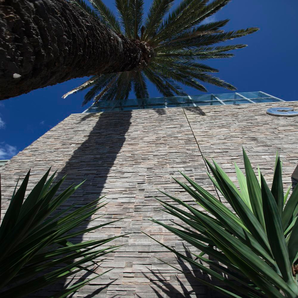 Pro-Fit Ledgestone Panel Shale Cultured Stone thin stone