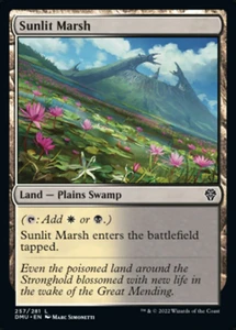 Sunlit Marsh - 257_sunlit-marsh - Dominaria United