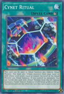 Cynet Ritual | MP19-EN113 | 1st Edition | 2019 Gold Sarcophagus Tin Mega Pack