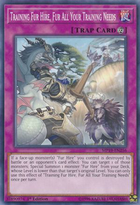 Training Fur Hire, Fur All Your Training Needs | MP19-EN256 | 1st Edition | 2019 Gold Sarcophagus Tin Mega Pack