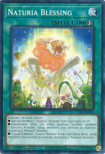 Naturia Blessing | DABL-EN064 | 1st Edition | Darkwing Blast