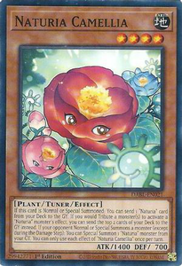Naturia Camellia | DABL-EN021 | 1st Edition | Darkwing Blast