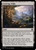 Evolving Wilds - 302_evolving-wilds - Bloomburrow Commander
