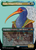 Nadu, Winged Wisdom (Borderless) - 377 - Modern Horizons 3