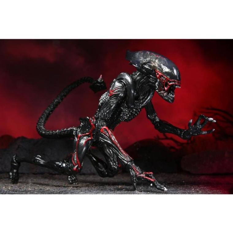 Inspired by the nightmarish designs of H.R. Giger, the Night Cougar Alien measures approximately 9-inches long and features a bendable tail, plus a detachable drone that magnetically attaches to its back! The packaging is an homage to the classic Kenner art, featuring custom illustrations and a color palette reminiscent of the toy shelves of the early '90s.

A lithe and masterfully adapted predator, the Night Cougar Alien joins NECA's Kenner Tribute line! Drawing inspiration from the classic Expanded Universe Aliens of the early 1990s, this Kenner classic is transformed into a modern version with all of today's detail and articulation.