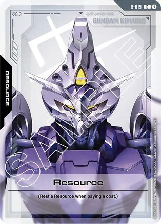 Resource (R-019) | R-019 | C | Normal | Dual Impact