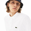 Lacoste Polo White