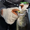 Wooly Full Finger Glove
