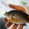 Wooly Full Finger Glove