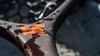 Fishpond Nomad Boat Net - 2.0