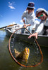 Fishpond Nomad Boat Net - 2.0