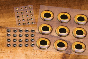 Fish Skull Living Eye