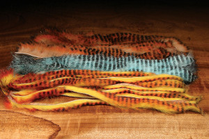 Tiger Barred Rabbit Strips - Magnum