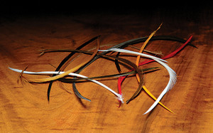 Stripped Goose Biots