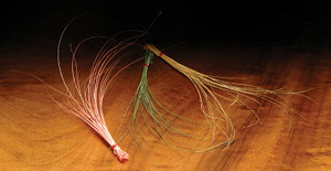 Quill Body