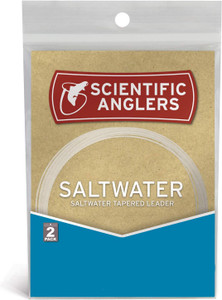Saltwater Nylon Leader, 9ft, 10lb, 2pk