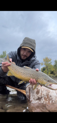 Blackfoot River Fishing Report 7/13/26