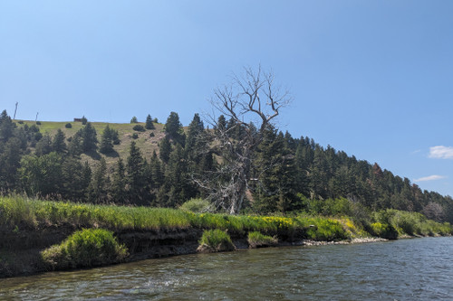 Blackfoot River Fishing Report 10/08