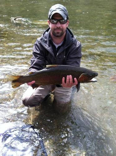 Blackfoot River Fishing Report 6/8/26
