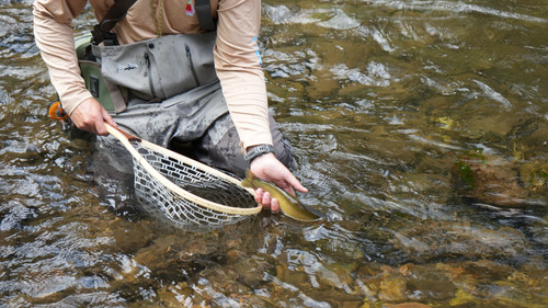 Rock Creek Fishing Report 6/10/26