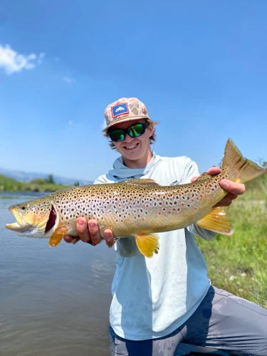 Blackfoot River Fishing Report 8/21/26