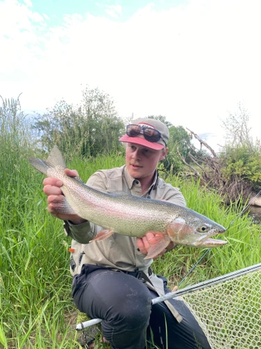 Bitterroot River Fishing Report 8/21/26