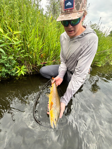 Bitterroot River Fishing Report 7/31/26